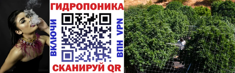 mega ССЫЛКА  даркнет сайт  Пересвет  Бошки Шишки сатива 